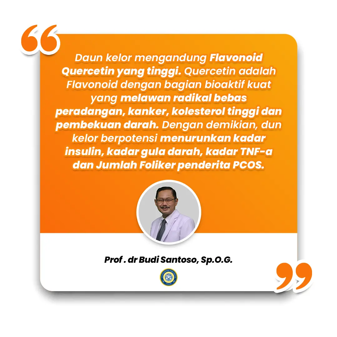 budi-1.webp