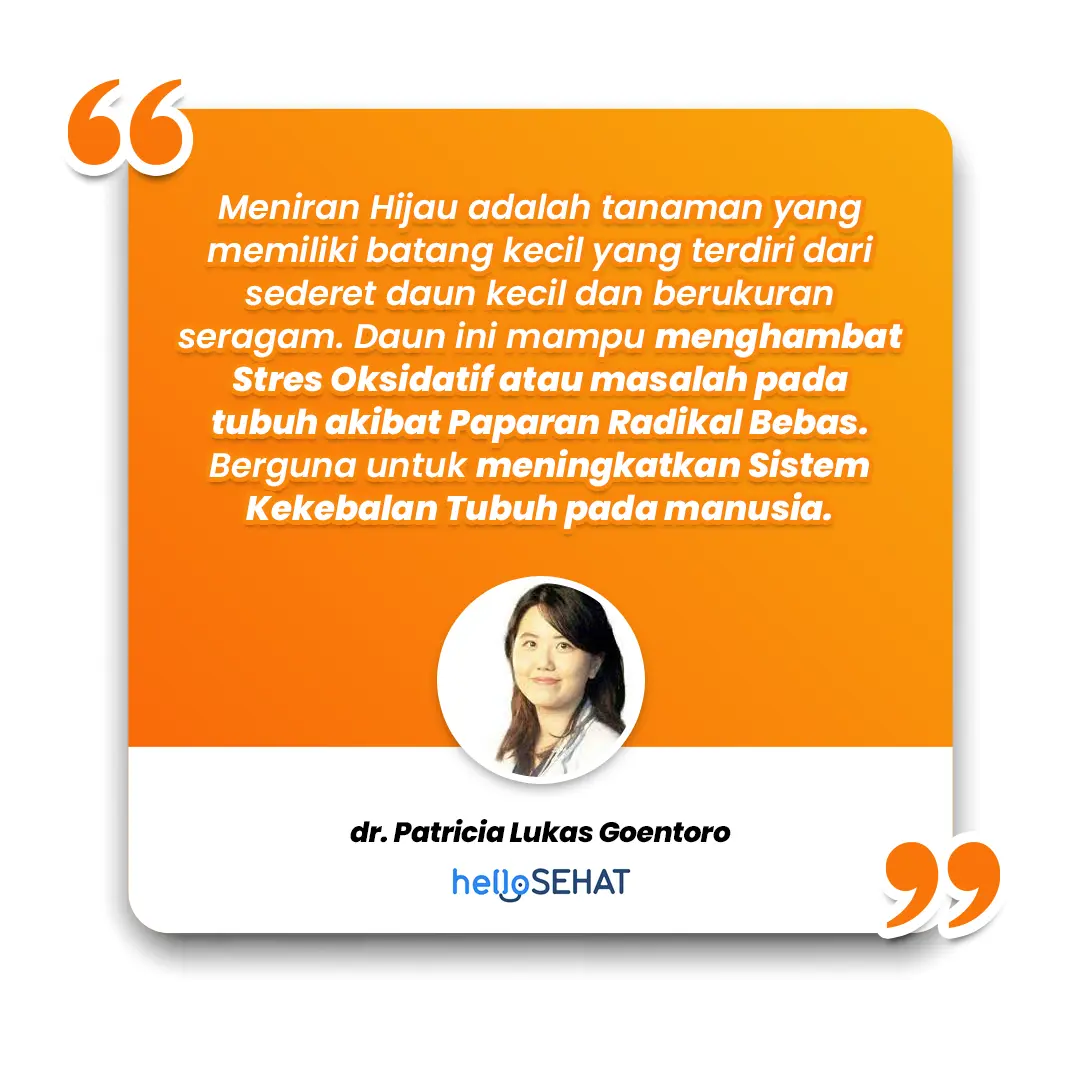 patricia.webp